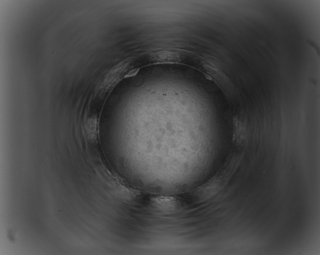 X0000101410189200807141139