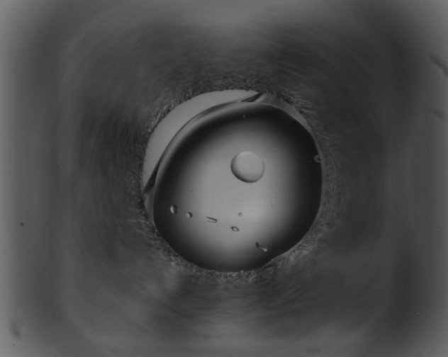 X0000101410192200807141139