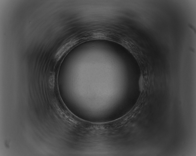 X0000101410194200807141139