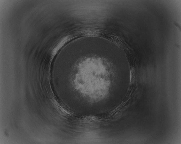 X0000101410195200807141139