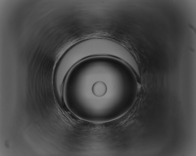 X0000101410196200807141139