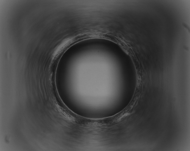 X0000101410197200807141139