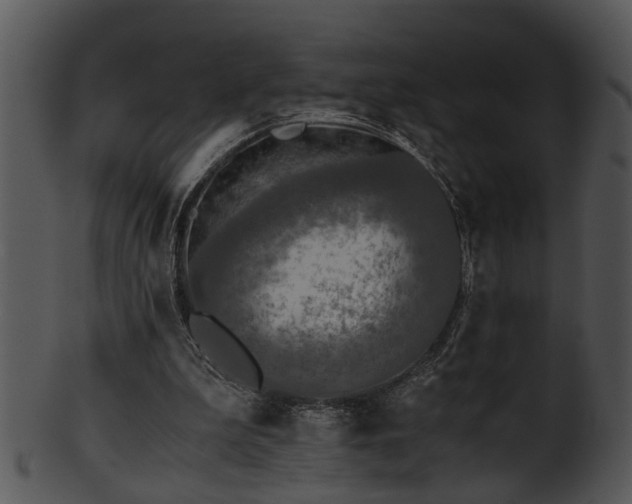 X0000101410199200807141139