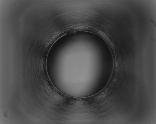 X0000101410201200807141139