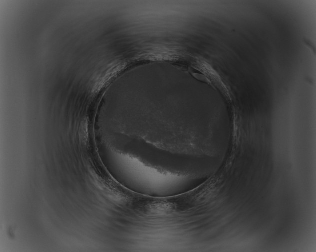 X0000101410202200807141139