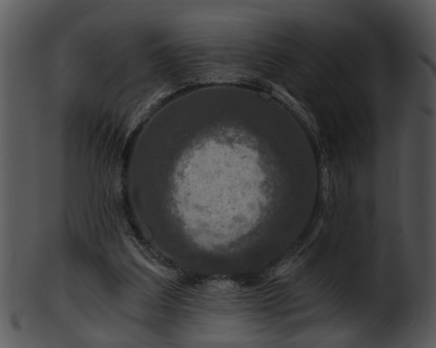 X0000101410203200807141139