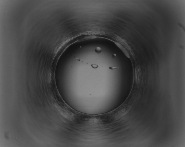 X0000101410204200807141139