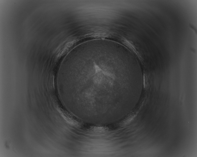 X0000101410205200807141139
