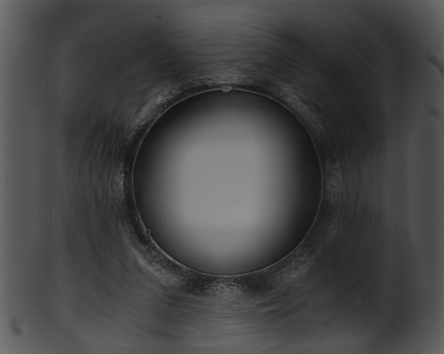 X0000101410207200807141139
