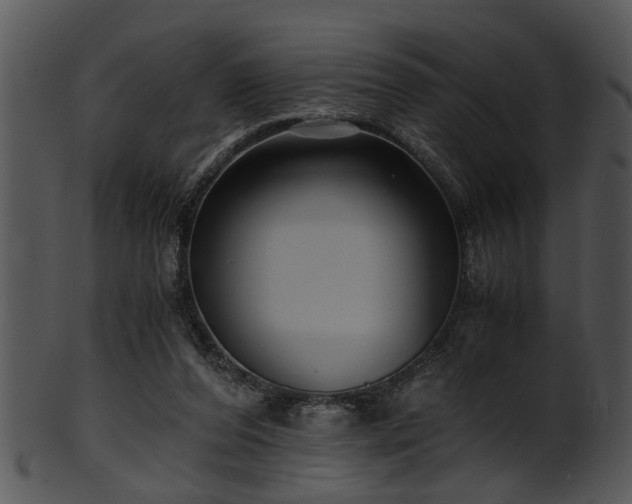 X0000101410208200807141139