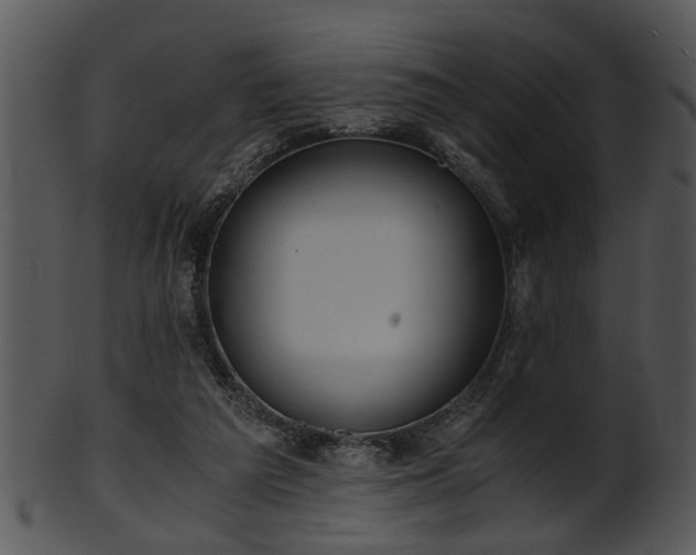 X0000101410209200807141139