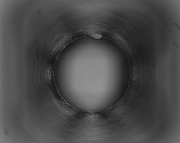 X0000101410210200807141139