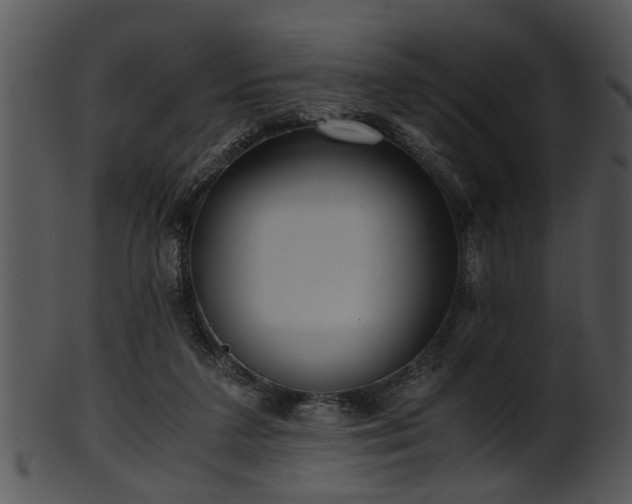 X0000101410211200807141139