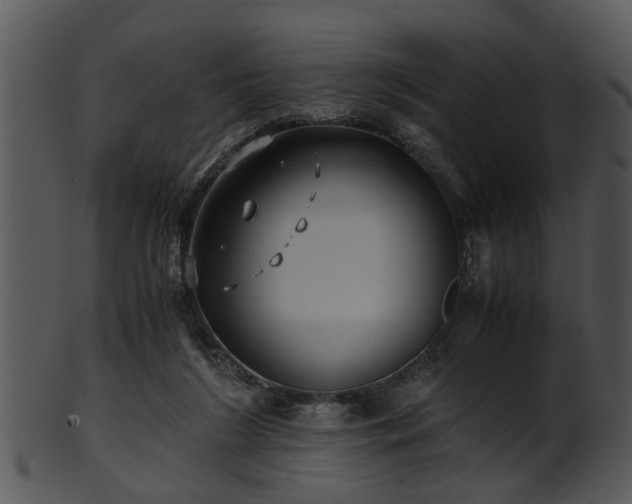 X0000101410212200807141138