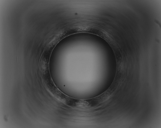 X0000101410215200807141138