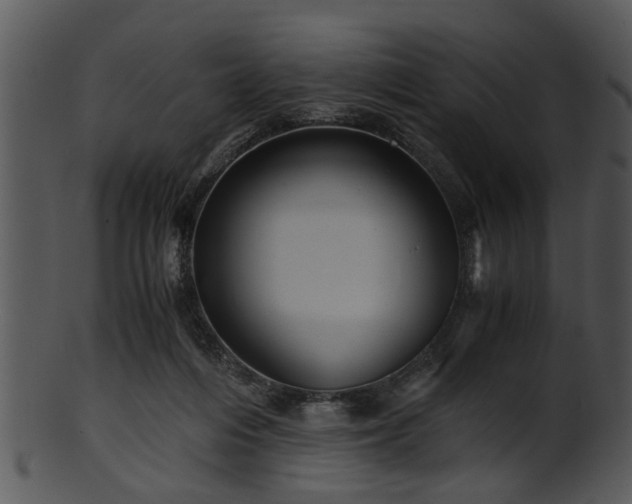 X0000101410216200807141138