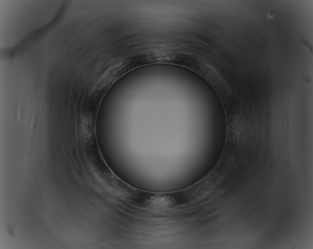 X0000101410218200807141138