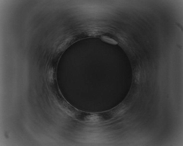 X0000101410219200807141138