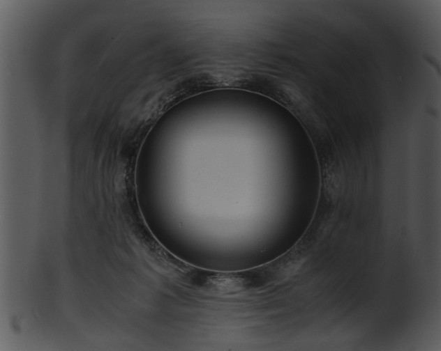 X0000101410221200807141138