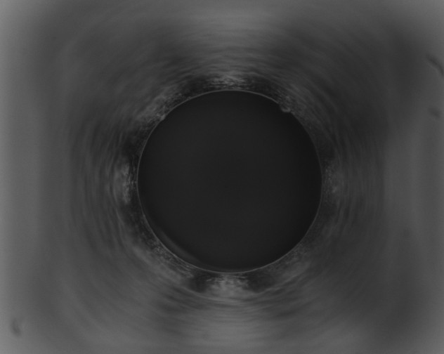 X0000101410223200807141138