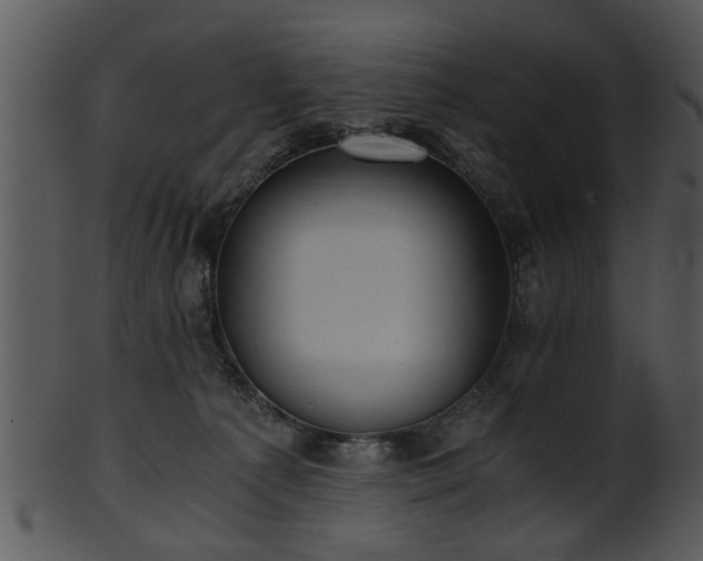 X0000101410225200807141138