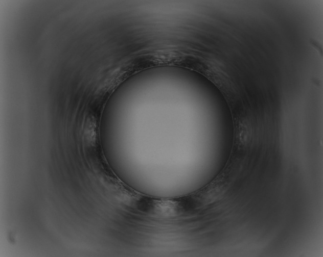 X0000101410226200807141138