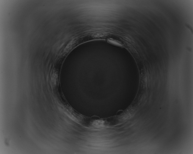 X0000101410227200807141138