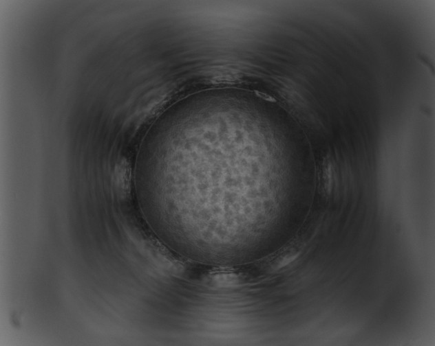 X0000101410228200807141138