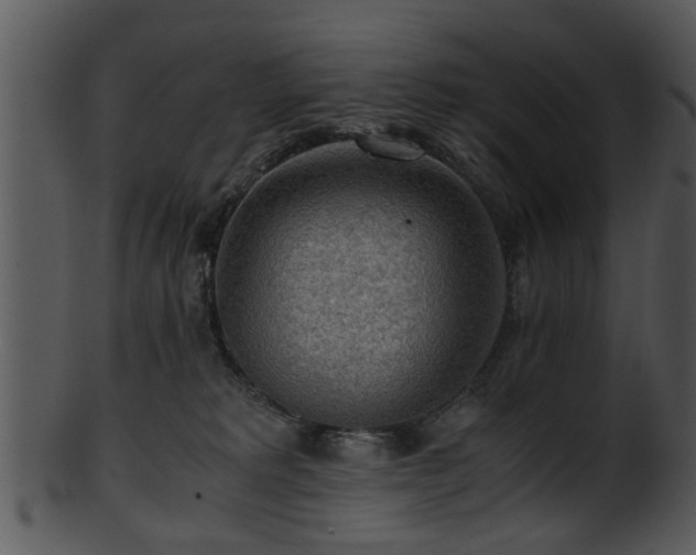 X0000101410229200807141138