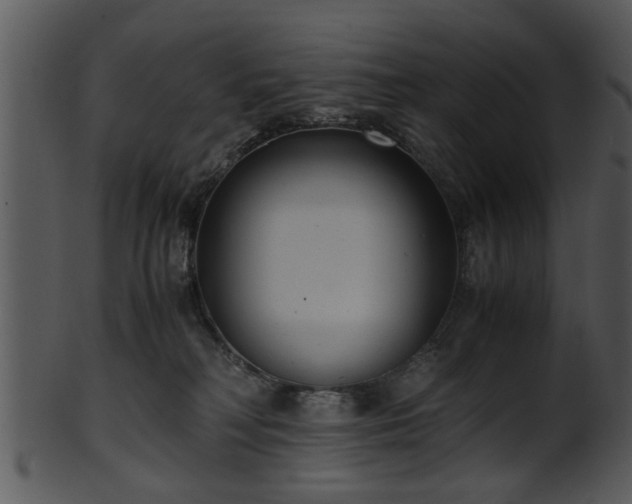 X0000101410230200807141138