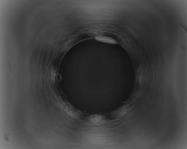 X0000101410235200807141138