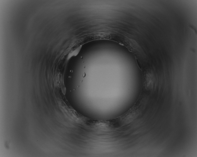 X0000101410236200807141138