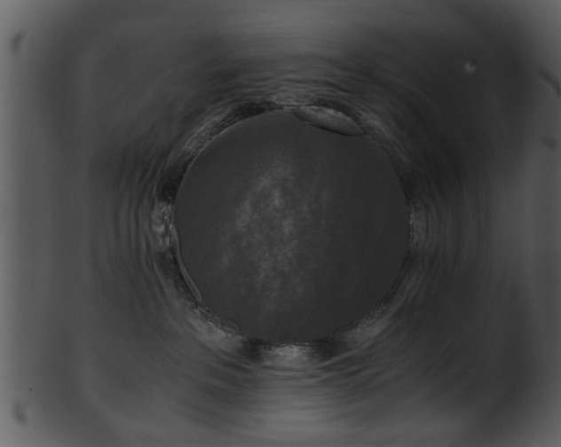 X0000101410237200807141138