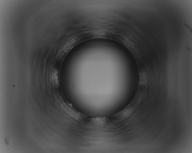 X0000101410238200807141138