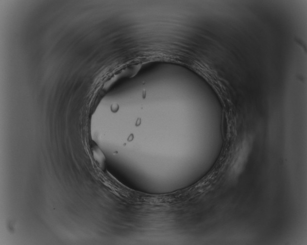 X0000101410241200807141137