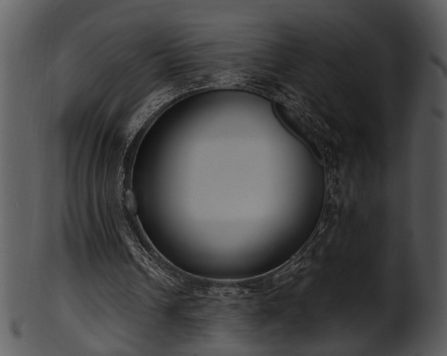 X0000101410242200807141137