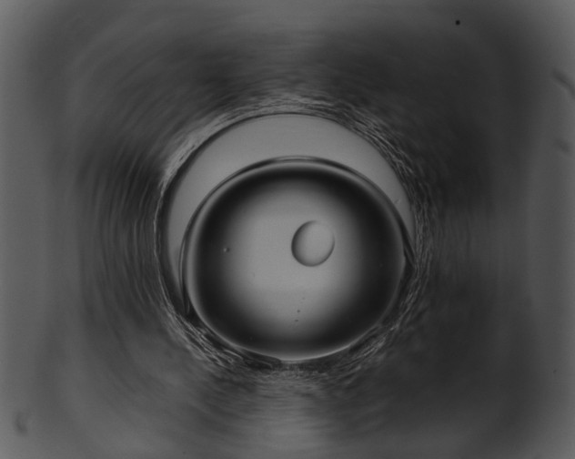 X0000101410244200807141137