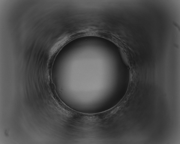 X0000101410245200807141138