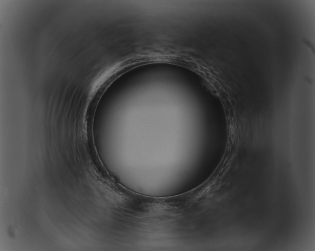 X0000101410246200807141138