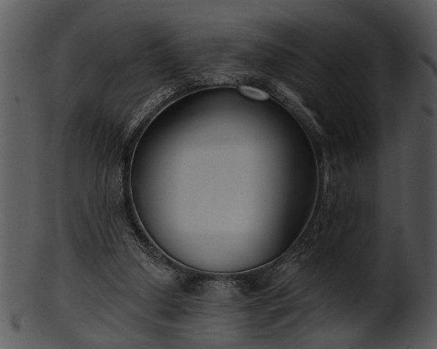 X0000101410250200807141138