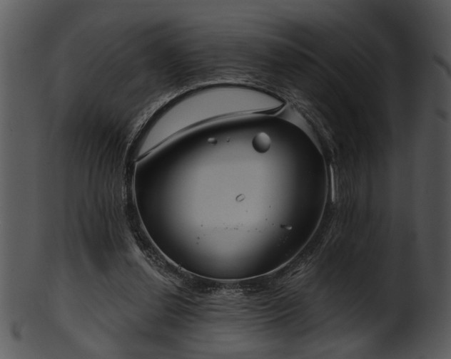 X0000101410252200807141138