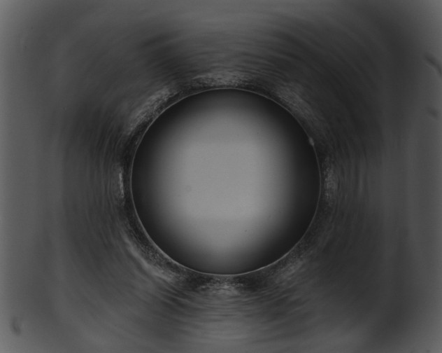 X0000101410254200807141138