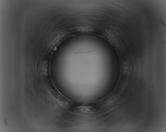 X0000101410255200807141138