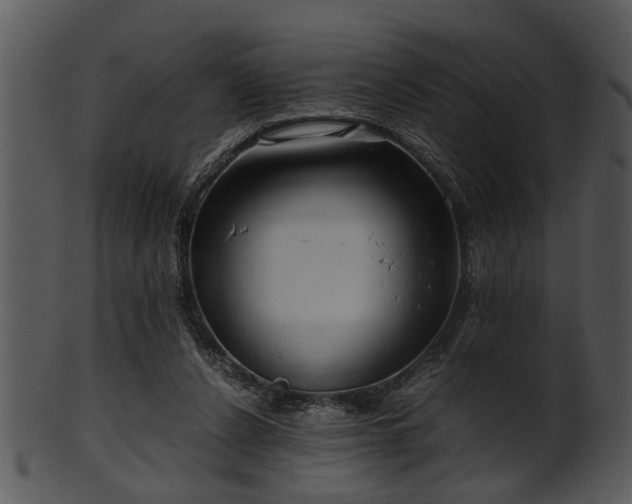 X0000101410256200807141138