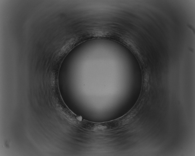 X0000101410257200807141138
