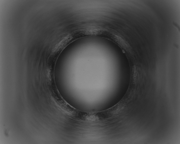 X0000101410258200807141138