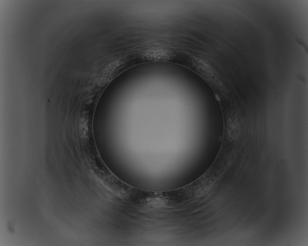 X0000101410259200807141138