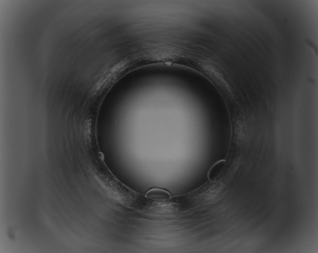 X0000101410260200807141138