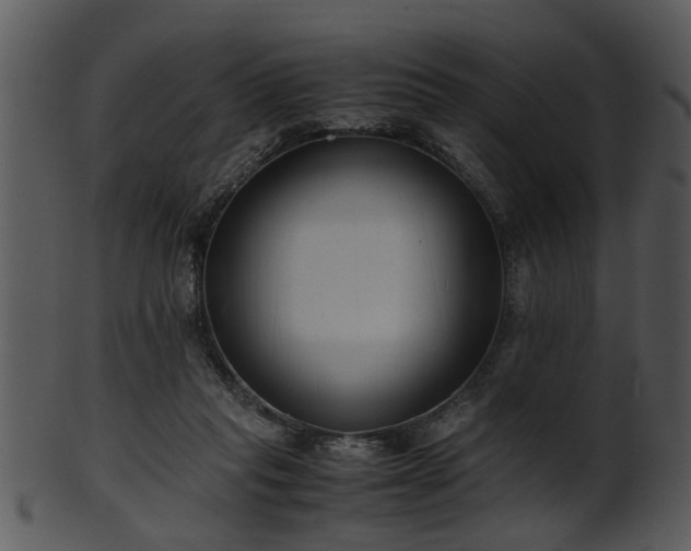 X0000101410261200807141138