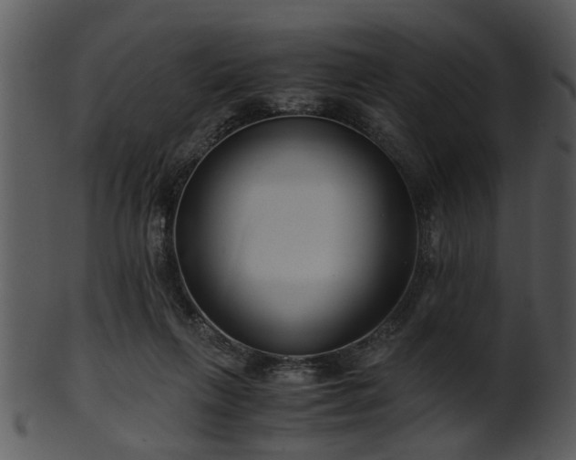 X0000101410263200807141138
